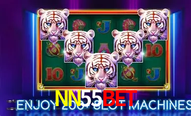 NN55Bet App